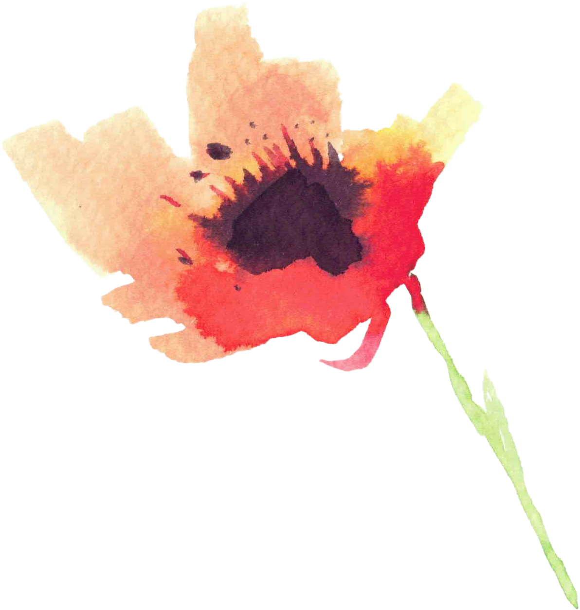 Facility Flower