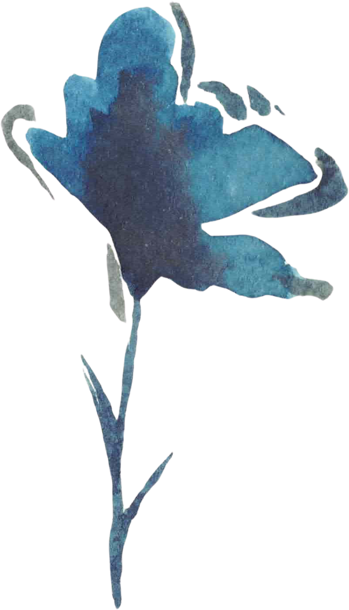 Facility Flower