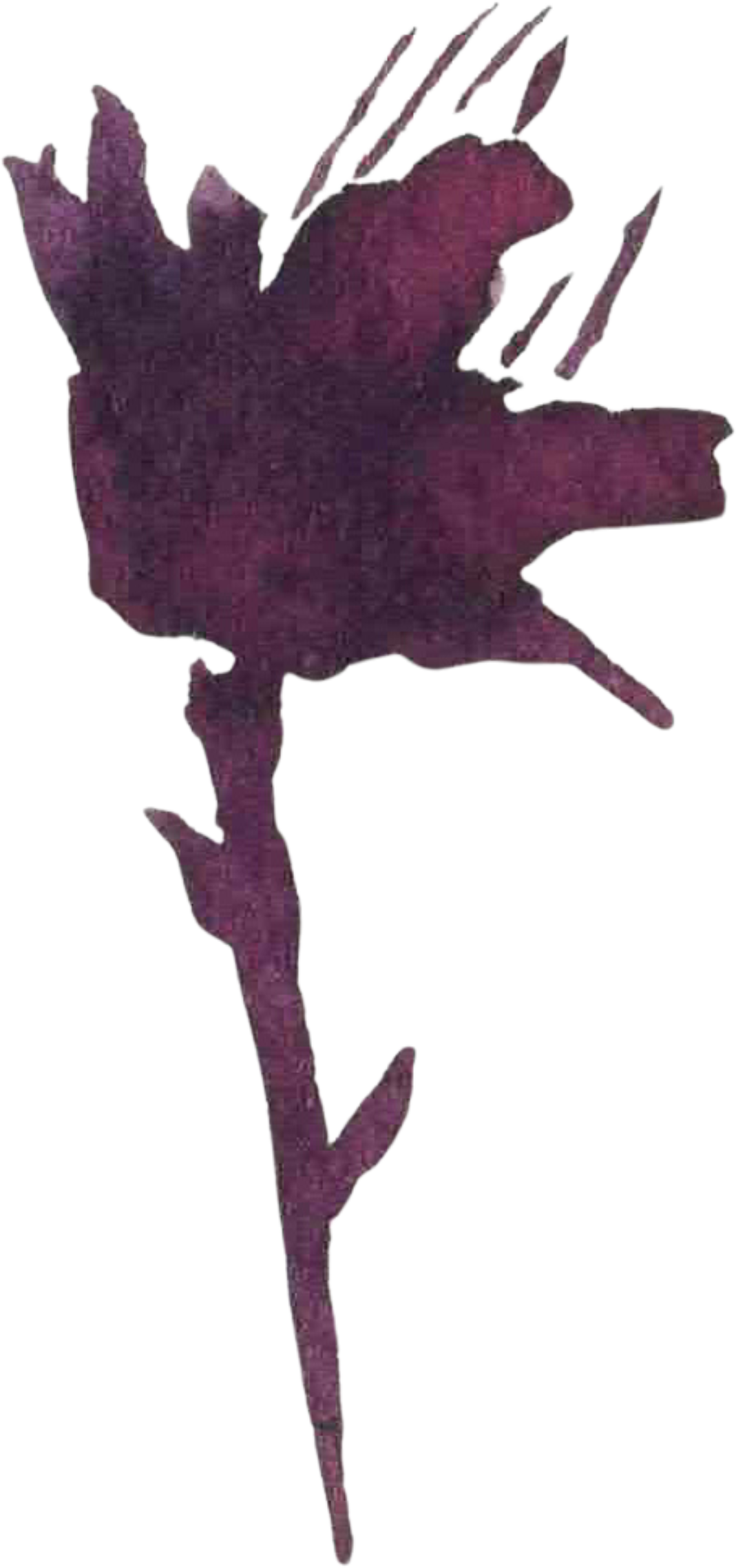Facility Flower