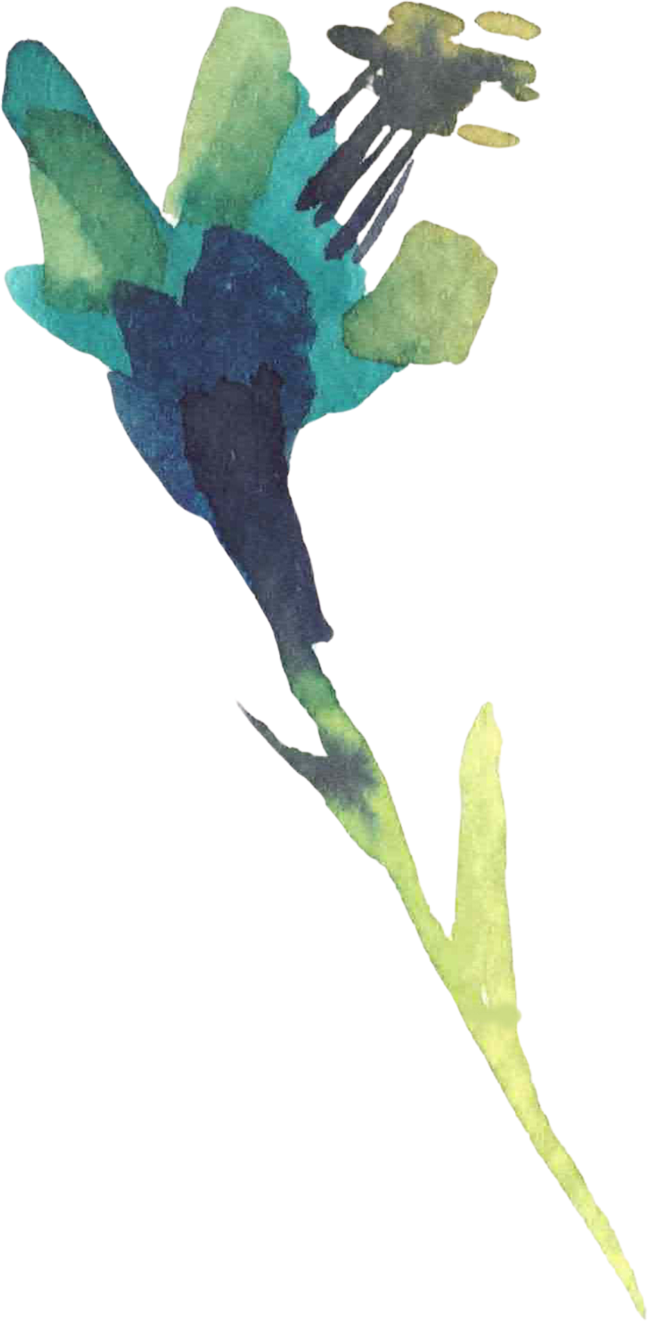 Facility Flower