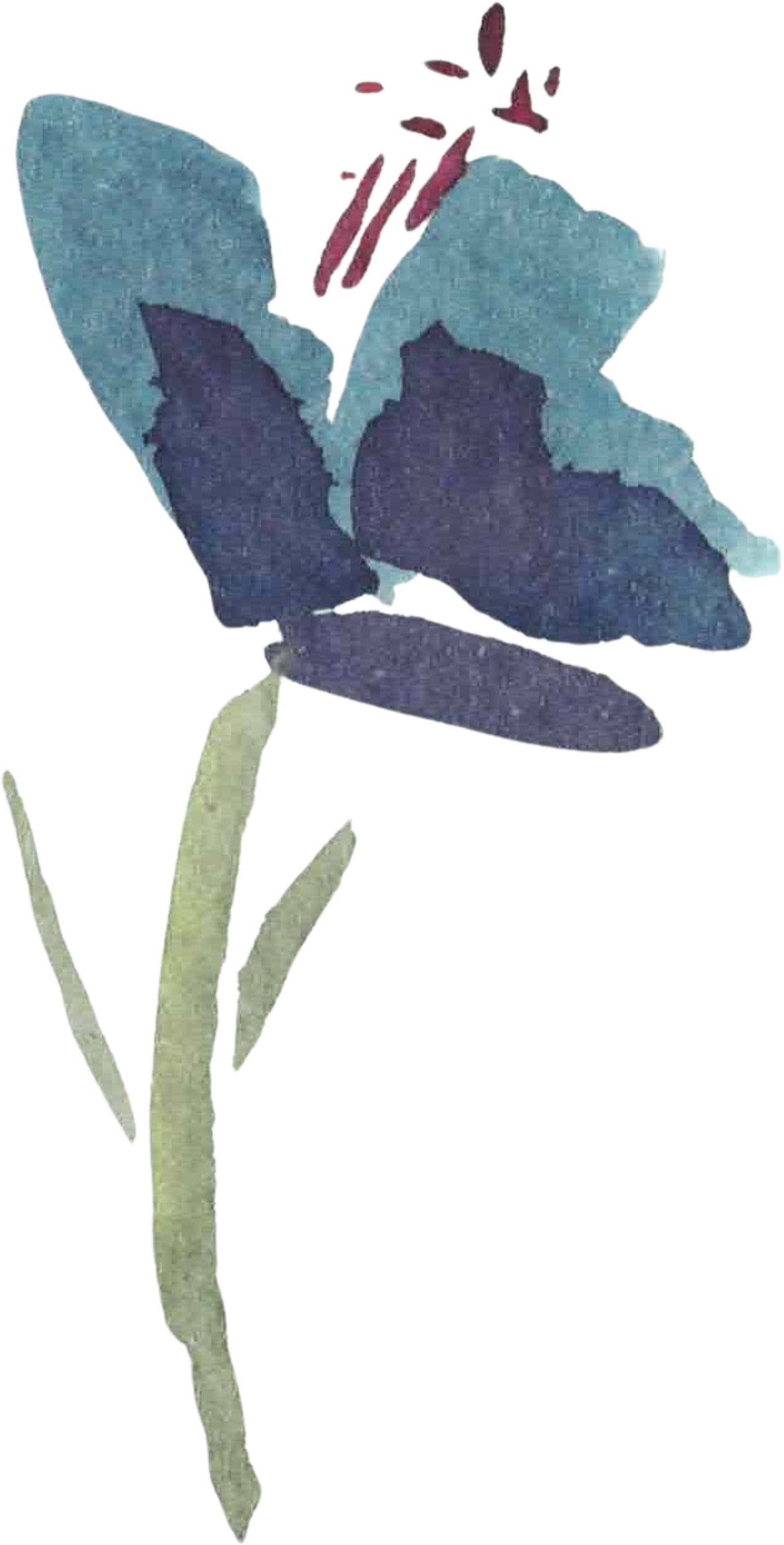 Facility Flower
